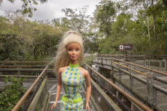 05_iguazuiguazu_iguazu__TWB8398