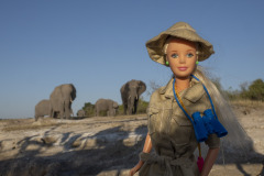 Botsuana, Safari
