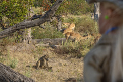 41Botsuana_39_TWB0690