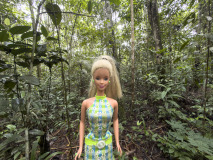 09amazonas_10IMG_3321