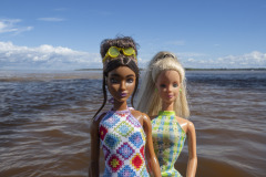 26amazonas_35_TWB8012
