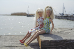07austria_burgenland_bu_lake_both