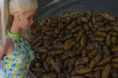 cambodia_siem-reap_TWB4861_1