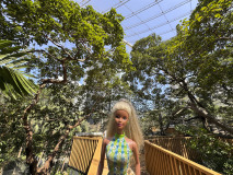 66_hongkongIMG_1482