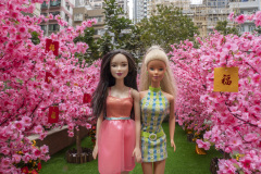 06_hongkong_TWB6738