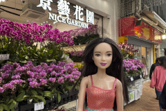 39_hongkongIMG_0908
