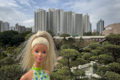 70_hongkongIMG_1201