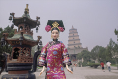 china_xian_wildgoosepagoda_li