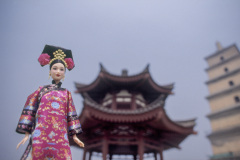 china_xian_wildgoosepagoda_li_sky