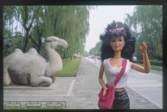 china_tombming1_camel