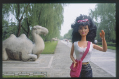 china_tombming1_camel