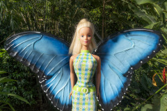 costa-rica_manuel_antonio_pacific_coast_8751_web