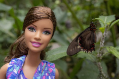 costa-rica_manuel_antonio_pacific_coast_8861_web