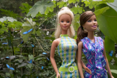 costa-rica_manuel_antonio_pacific_coast_8928_web