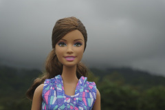 costa-rica_manuel_antonio_pacific_coast_ILCE-6500-305107