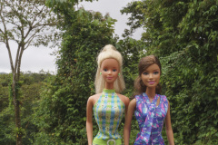 costa-rica_manuel_antonio_pacific_coast_ILCE-6500-305567