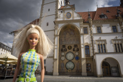 czech_olmuetz__TWB4343