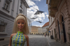 czech_olmuetz__TWB4363