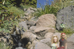 dm_kop_botani4