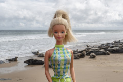 2022_08_england_03.1_horsey_gap_seals_3468_web