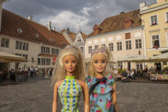 tallin_TWB3004