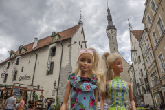 tallin_TWB3237