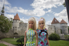 tallin_TWB3303