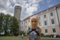 tallin_TWB3337