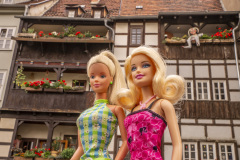 erfurt__DSC2867