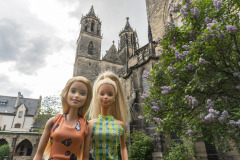 01_magdeburg01_cathedral_5850 01_magdeburg01_cathedral_5850