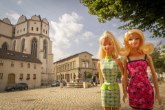 halle__DSC2812