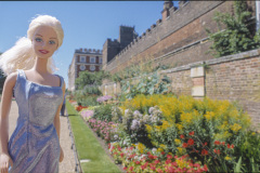 gb_england_lo_hamptoncourt_flowers