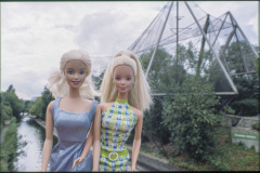 gb_england_lo_zoo