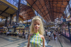 Budapest_05_central-market-hall_8304