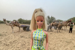 indien_03mandawa01_cameltour_0657