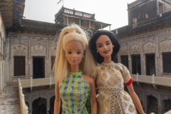 indien_03mandawa04_havela_7971
