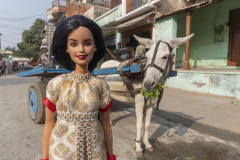 indien_03mandawa06_havela_7979