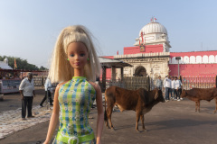 indien_04_DESHNOK01_Karni-Mata-Tempel_8036