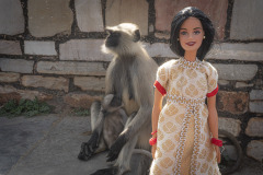 indien_07_chittorgarh-fort_apes_8327