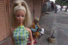 indien_08_jaipur02_kobra_8348