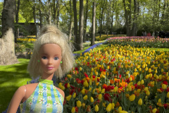 tulip-flower-show_keukenhof_2718