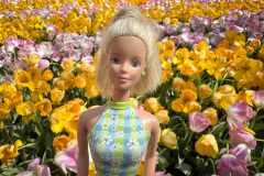 tulip-flower-show_keukenhof_2748