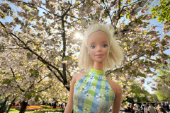 tulip-flower-show_keukenhof_2773