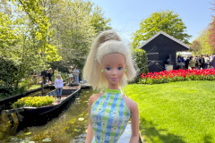 tulip-flower-show_keukenhof_2811