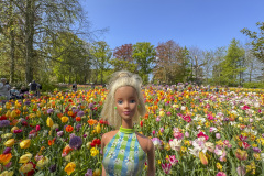 tulip-flower-show_keukenhof_2829