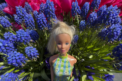 tulip-flower-show_keukenhof_2863