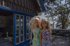 litauen_curonian-spit_TWB2356