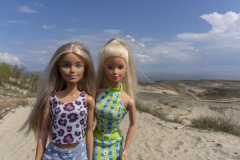litauen_curonian-spit_TWB2396