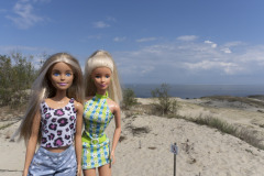 litauen_curonian-spit_TWB2399