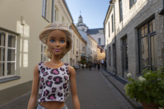 lithuania_vilnius_TWB4287